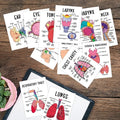 30 Pcs Human Anatomy Flash Cards – Study Guide for Medical and Nursing Staff